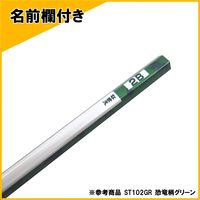 クツワ 学校えんぴつ2Bミントグリーン ST102MT（直送品）
