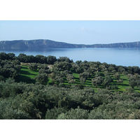 エクストラバージンオリーブオイル フレッシュ1ケース（48本入）  オリジナル