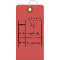 ササガワ パック入カラー荷札 大 赤 一穴 25-73131 1セット(1袋(200枚入)×5)