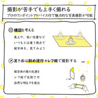 エレコム 撮影用背景シート/MONOTONE/A3/6枚入 DGA-BPA301 1セット(6枚入)