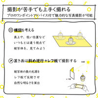 エレコム 撮影用背景シート/STONE/A3/6枚入 DGA-BPA307 1セット(6枚入)