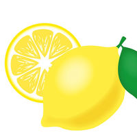 【ノンカフェイン】国太楼 レモンルイボス茶 ティーバッグ 1袋（80バッグ入）