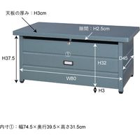 東谷 ラルド ストレージセンターテーブル 幅900×奥行490×高さ400mm ブラック TPN-35BK 1台（直送品）