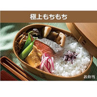 日立　 圧力＆スチーム　IHジャー炊飯器 5.5合炊き  RZ-AX10M R