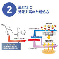 ストナジェルサイナスEX 30カプセル 佐藤製薬  風邪薬  鼻かぜ 鼻水 鼻づまり のどの痛み せき【指定第2類医薬品】