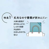 コクヨ ハードクリヤーホルダー<モッテ>(A4サイズ) フ-LMD750LB 1セット(15冊)