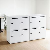 サンワサプライ パーソナルロッカー 2連2段 4人用 ダイヤル錠 幅800×奥行450×高さ1000mm ホワイト PLK-TW4W 1台（直送品）