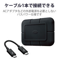 SSD 外付け 1TB ポータブル 5年保証 Rugged SSD Pro 耐衝撃 STHZ1000800 LaCie 1個（直送品）