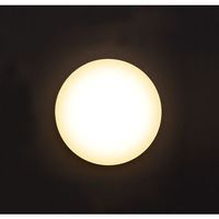 アイリスオーヤマ 小型シーリングライト 薄形600lm 電球色 SCL6L-UU(572422) 1個