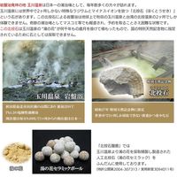 ラクト 足温浴 「北投石盤癒」 2人掛け用 RTD-2000 1台（直送品）