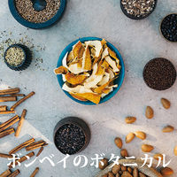 ボンベイ・サファイアジン 750ml 1セット（12本） ジン　正規品