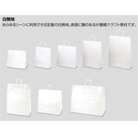 ササガワ 手提げバッグ 白無地 小 50-6100 1包 (10枚袋入)