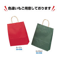 ササガワ 手提げバッグ 10Pマリン 小 50-6107 1包 (10枚袋入)