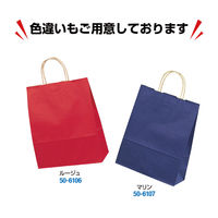 ササガワ 手提げバッグ 10Pエメラルド 小 50-6108 1包 (10枚袋入)