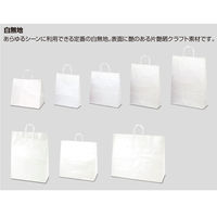 ササガワ 手提げバッグ 白無地 大 50-6300 1包 (10枚袋入)