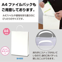 ササガワ 手提げバッグ 額縁用 B4 50-6800 1包 (10枚袋入)