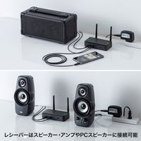 サンワサプライ ワイヤレスマイクシステム 2台セット 充電式 スピーカー MM-MCWSET 1個