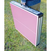 スパイス バカンス バイカラー キャリー卓球台セット　ピンク×イエローグリーン SFVT1801 1台（直送品）