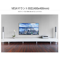 JAPANNEXT 65インチワイド4K対応液晶モニター　JN-650IPS4K 1台　大型モニター（直送品）