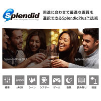 ASUS 24インチワイド液晶モニター VP248H 1台 フルHD（1920×1080） HDMI D-Sub テレワーク 在宅 リモート