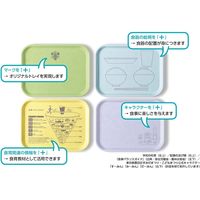 三信化工 トレイ+ アニマルっこ SE-13+ANI-FYE 1枚（直送品）