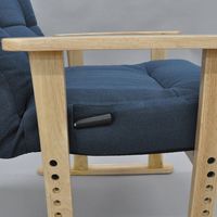 エイ・アイ・エス リラックス高座椅子 ブルー SPTZ-600 BL 1脚（直送品）