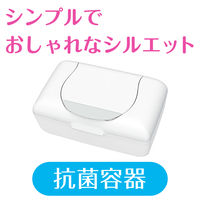 ウェットティッシュ 除菌シート 除菌ノンアルコール 本体 1パック（47枚入） エリエール ピュアナ（Puana） 大王製紙