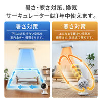 アイリスオーヤマ サーキュレーター扇風機  30畳 18cm 上下左右自動首振り DCモーター ホワイト STF-DC18T １台