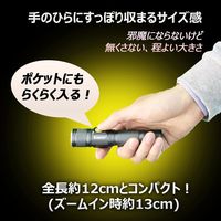 グッド・グッズ LED懐中電灯 ED25-S 1個