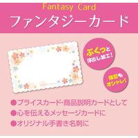 ササガワ ファンタジーカード ミニョン 16-651 1セット:75枚(15枚袋入×5冊袋入)