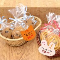 ササガワ ぷちカード ネコ 大 16-7131 1セット：60枚【（6色各2枚）袋入×5冊袋入】