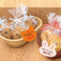 ササガワ ぷちカード ネコ 中 6色各2枚 16-7121 1セット(1冊(12枚)×5)