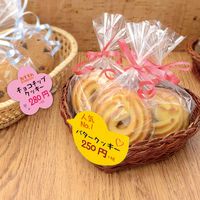 ササガワ ぷちカード ヒヨコ 大 16-7133 1セット：60枚【（6色各2枚）袋入×5冊袋入】