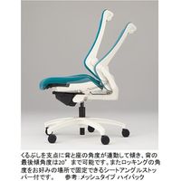 【設置込】イトーキ エフチェア ローバック 布張り 固定肘 ハンガー付 ウレタンキャスター 黒ベース 黒脚 オフブラック 1脚（直送品）