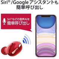 Bluetoothヘッドセット 極小 Type-C端子 最大連続待受約120時間 簡単接続ガイド レッド LBT-HSC30MPRD エレコム 1個
