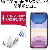 Bluetoothヘッドセット 極小 Type-C端子 最大連続待受約120時間 簡単接続ガイド ホワイト LBT-HSC30MPWH エレコム 1個