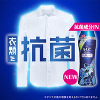 レノア本格消臭 デオドランドビーズ スポーツ クールリフレッシュ 詰め替え 特大 760mL 1箱（6個入） 抗菌 P&G