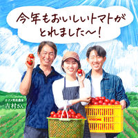カゴメ トマトジュースプレミアム 食塩無添加 160g 1箱（30缶入）