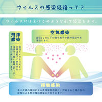 【アウトレット】カンペハピオ 接触感染対策シート 1袋（3枚入り）