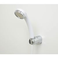 カクダイ ガオナ シャワーフック 角度調節 ビス止め式 取替え クローム ホルダー 掛具 GA-FP028 1個（直送品）