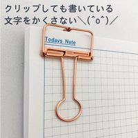 サンケーキコム リーンクリップ ブロンズ Mサイズ LCーM100BZ 1セット(100個入)