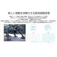 【設置込】JAPANNEXT 65インチワイド4K対応液晶モニター純正スタンドセットJN-650IPS4KJRSA-KUMI  大型モニター（直送品）