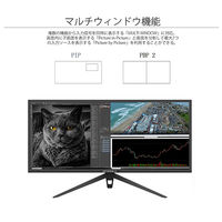 JAPANNEXT 34インチ HDR対応ウルトラワイド液晶ディスプレイ JN-VG34100UWQHDR 1台