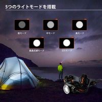 NICRON H30F フォーカスヘッドライト900LM 充電式 1本