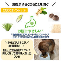 ファーストチョイス ChoiceS お肉が好きな子に 成犬1歳以上 ラム 2.4kg（600g×4袋）1袋 ドッグフード
