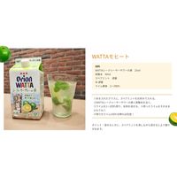 WATTA（ワッタ） シークヮーサー サワーの素 パック 900ml 1本　シークワーサー　リキュール