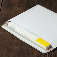 紺屋商事 厚紙封筒ネコポスサイズ 4580417600704 1セット(1個×5)