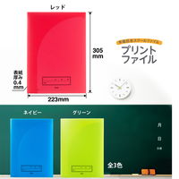 プラス 年組氏名 スクール プリントファイル A4 2ポケット レッド 79753 1冊