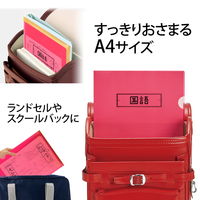 プラス ファイル 年組氏名 スクール クリアホルダー A4 レッド 79733 1セット（50枚：10枚×5）