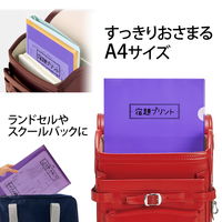 プラス ファイル 年組氏名 スクール クリアホルダー A4 パープル 79732 1セット（100枚：10枚×10）